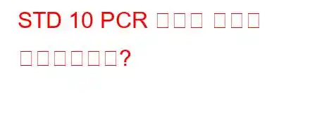 STD 10 PCR 검사는 어떻게 이루어지나요?